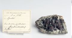 Foto von Apatit (NHMW-MIN-Aa728)